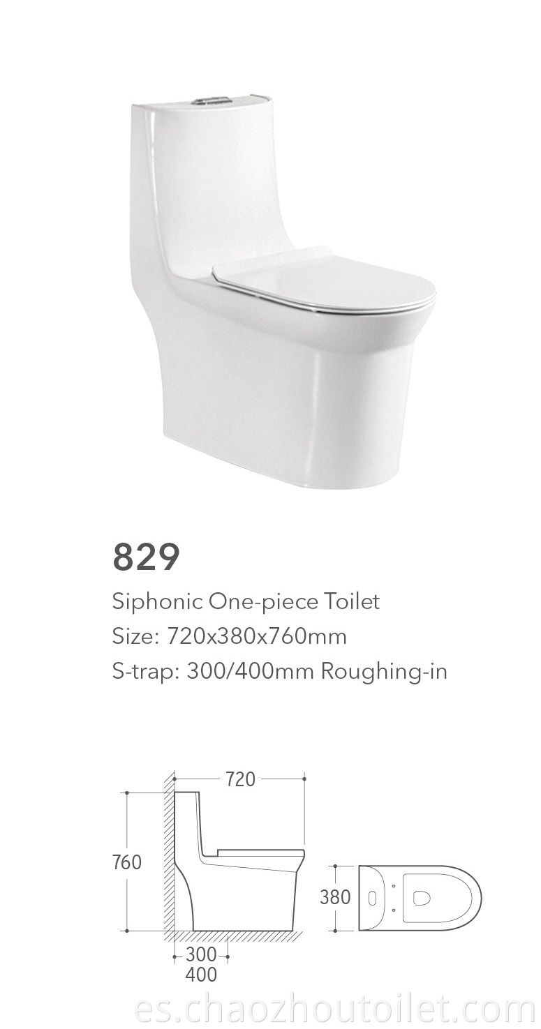 829 One Piece Toilet